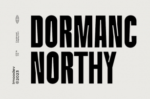 Dormanc Northy - Modern Sans Display Font Font Download