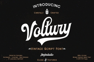 Voltury (with extras) Font Download